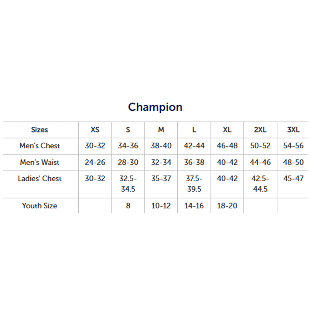 Champion Men's Black Hoodie